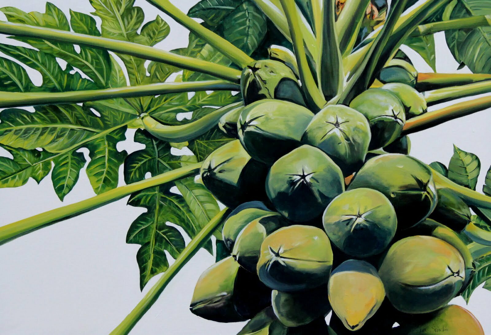 Tropical fruit painting