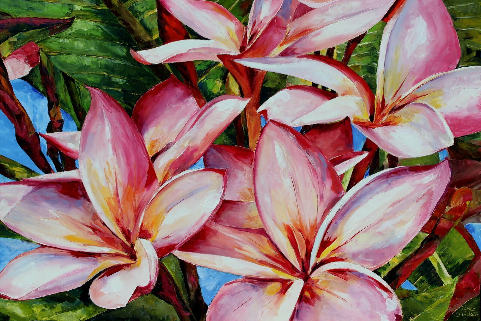 frangipani flora tropical
