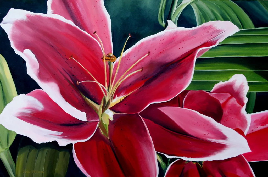 lillies flowers