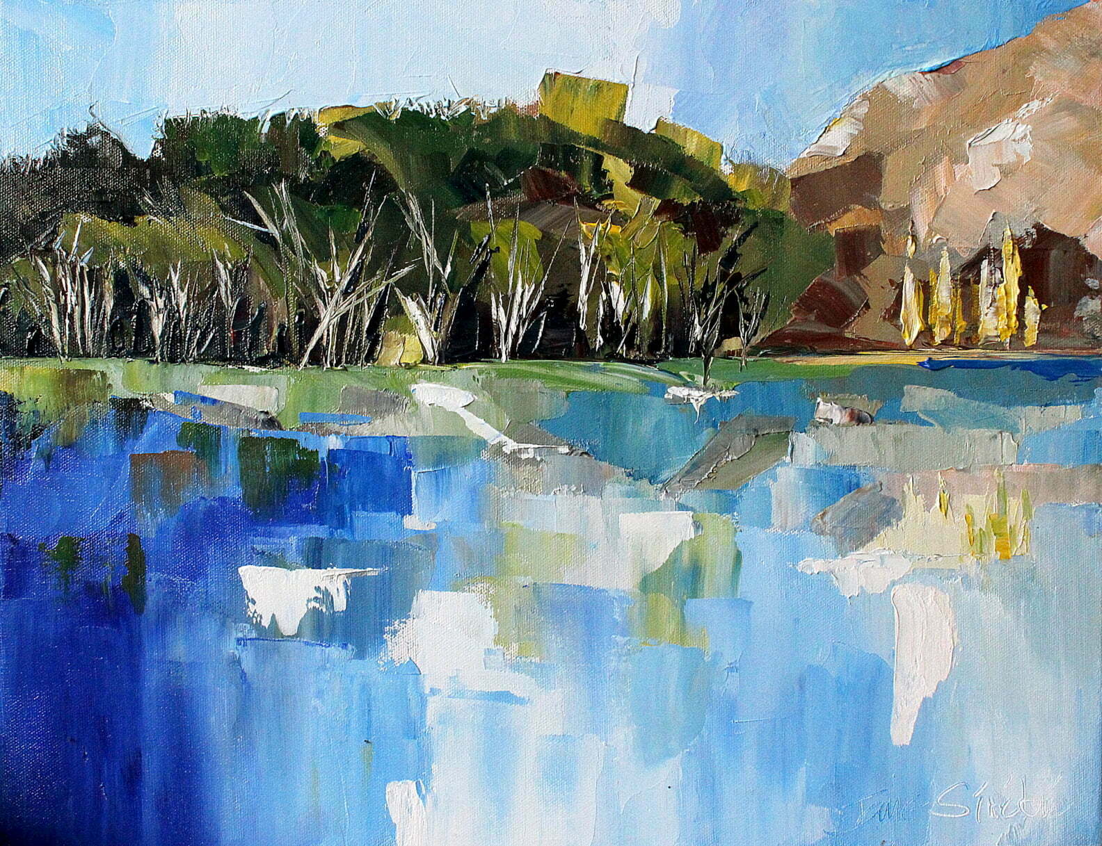 wanaka reflections oil painting by jane sinclair